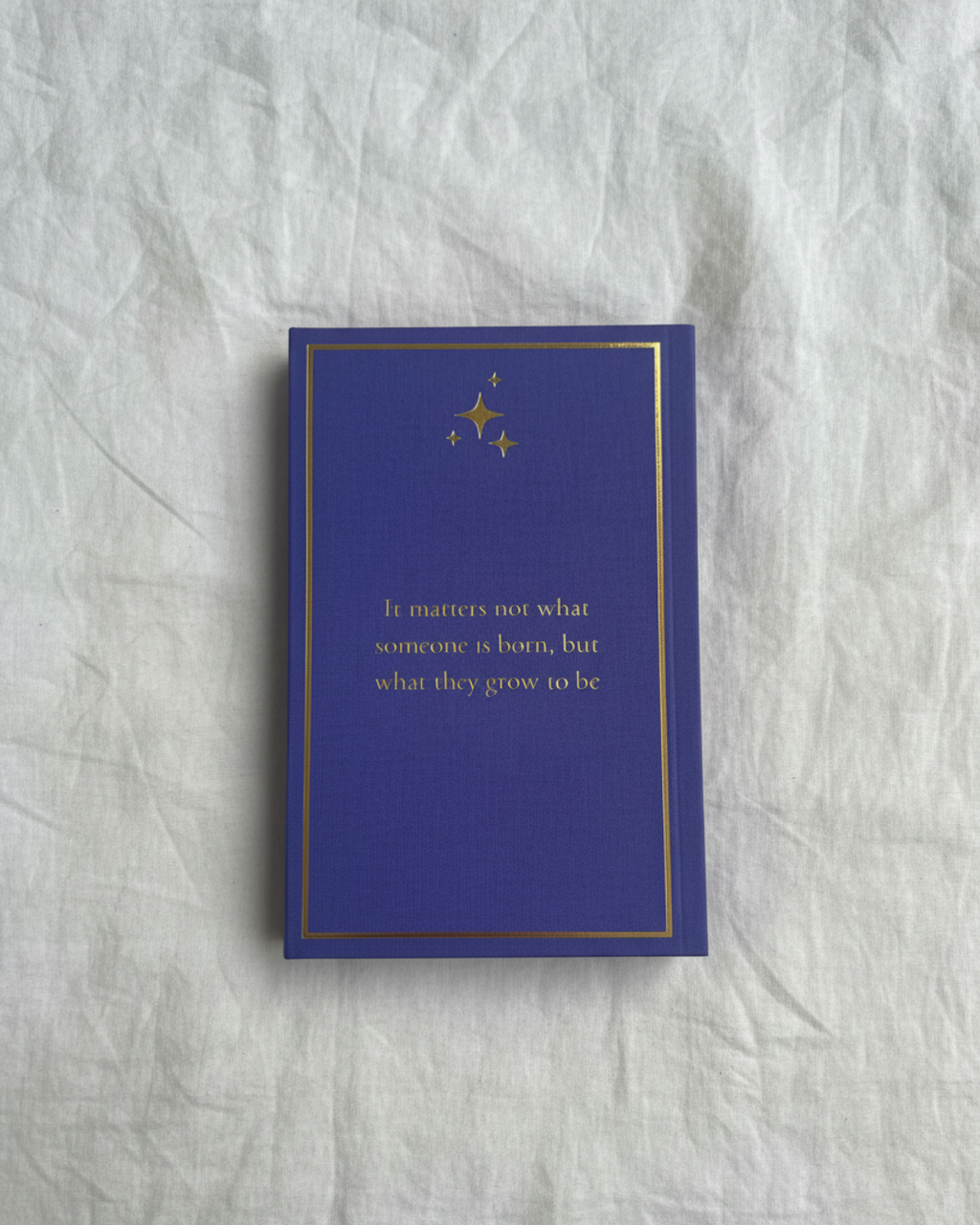 Harry Potter Collector's Sleeves