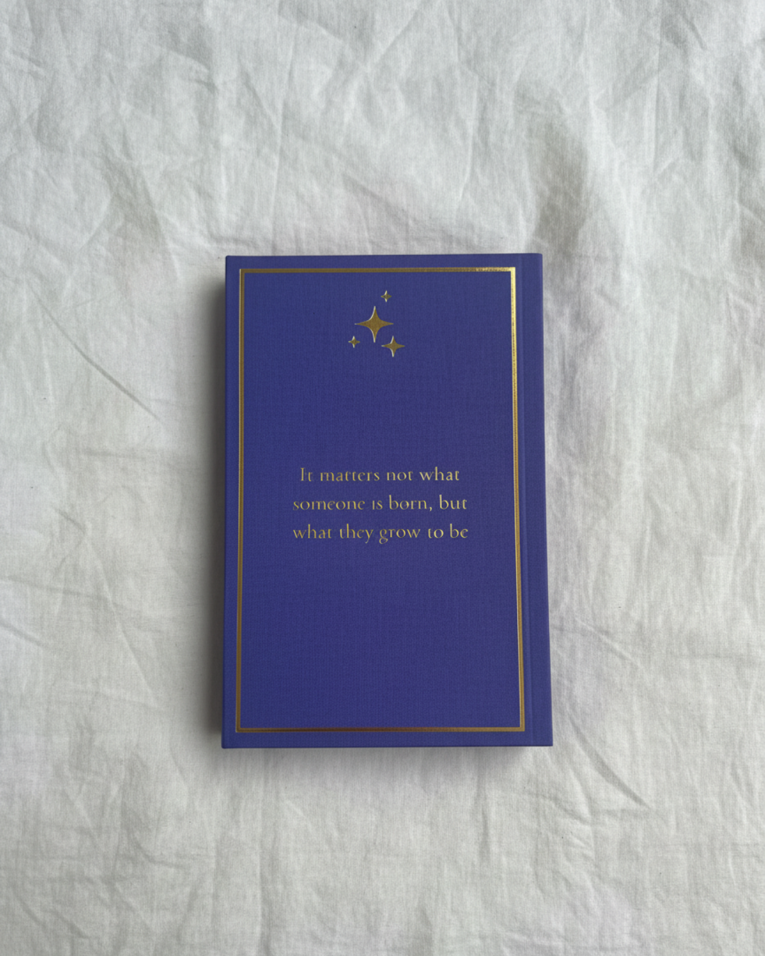 Harry Potter Collector's Sleeves