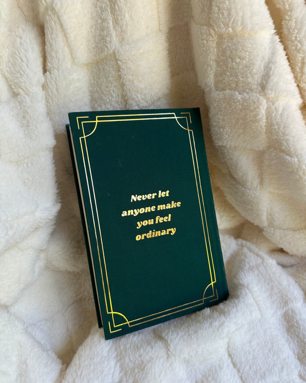 The Seven Husbands of Evelyn Hugo Hardcover Rebind