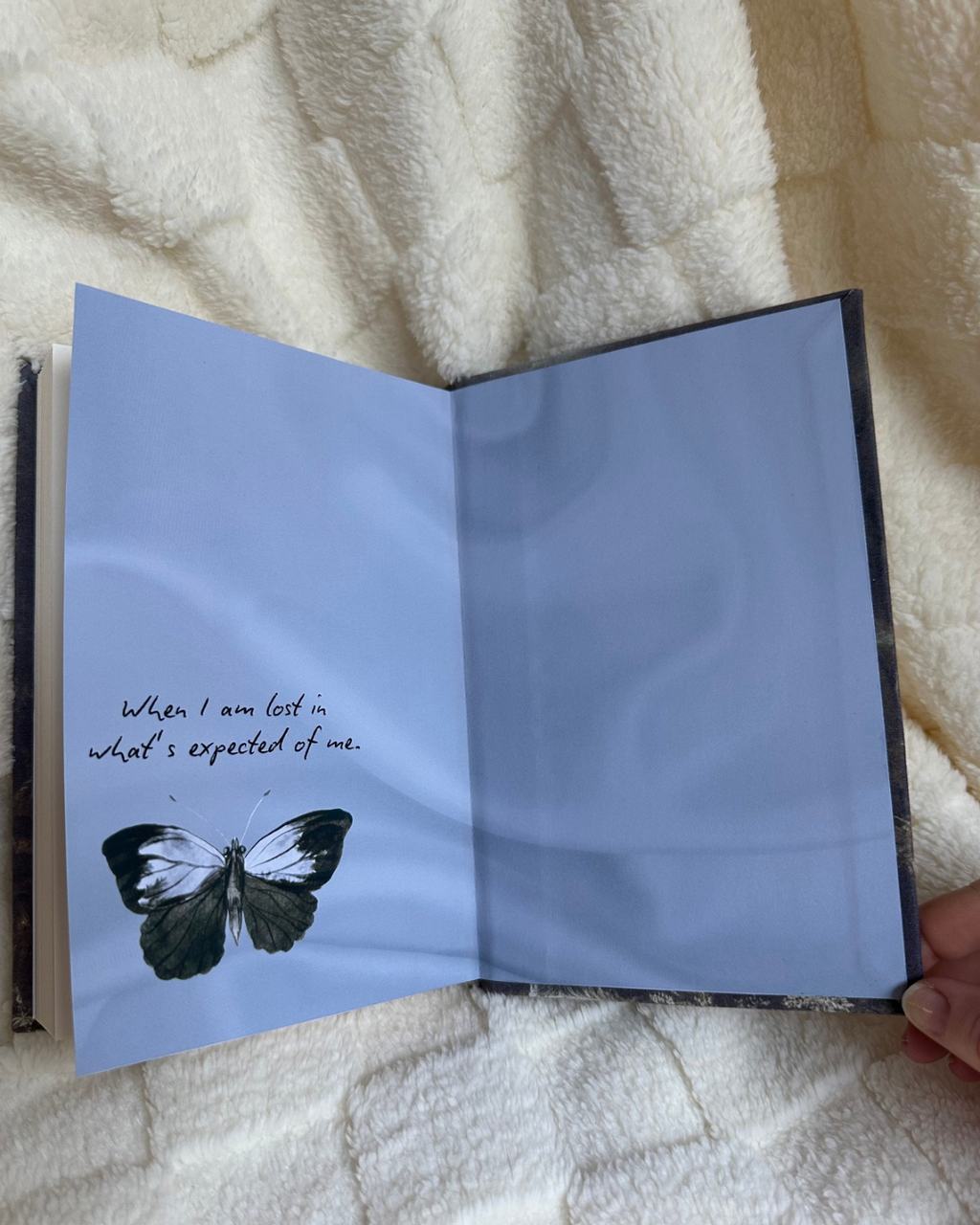 The Knight and the Moth Hardcover Rebind
